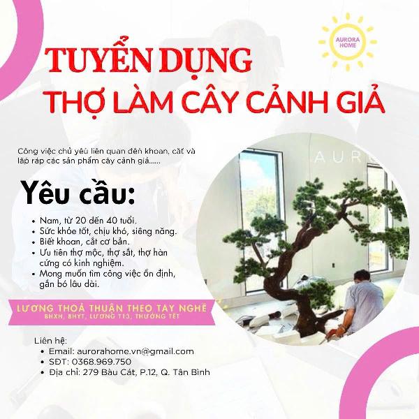 AURORA HOME Cty chuyên về cây cảnh giả tuyển Nam làm tại Tân Bình