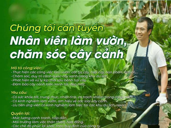 Tuyển NV làm vườn chăm sóc cây cảnh nhà biệt thự ở Thủ Đức 
