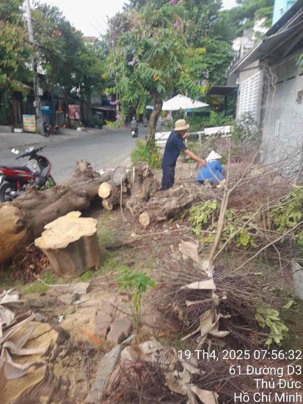 Tuyển gấp nhân viên tạp vụ, vệ sinh đi làm ngay tại Thủ Đức