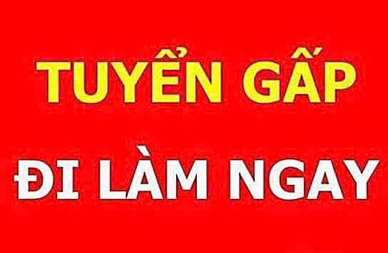 Cần tuyển 2 NV kỹ thuật, trình độ tốt nghiệp PTTH đi làm tại Q12