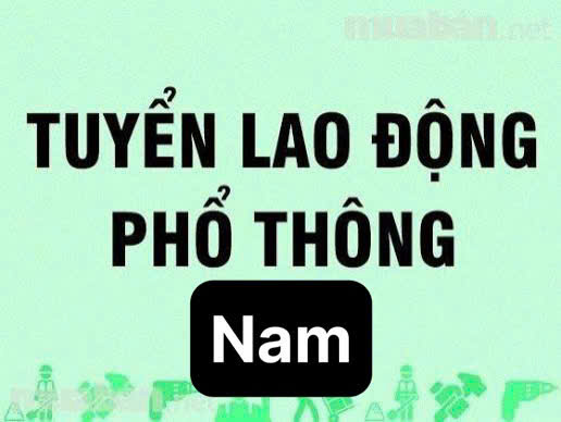 Tuyển gấp 10 nam có sức khoẻ làm ở chợ mặt hàng ngành gia vị