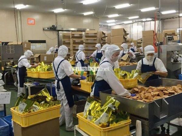 Tuyển NV Nam đổ khuôn bánh kẹo, đóng gói làm tại Thủ Đức