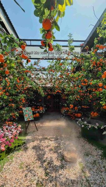 Mâm Coffee tuyển NV pha chế, thu ngân, phục vụ làm tại Q12