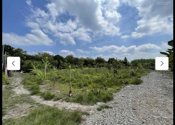 Cho thuê đất MT đường 7m rộng 1 mẫu tại ĐS 812, Xã Phú Mỹ Hưng, Củ Chi