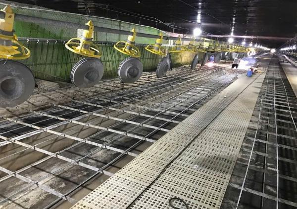 Trang trại tuyển cặp vợ chồng hoặc nam LĐPT phụ việc chăn nuôi vịt