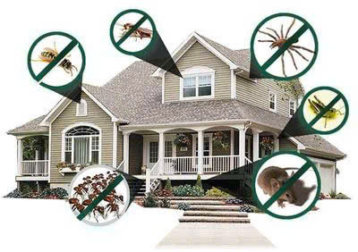 Tuyển nhân viên diệt côn trùng ưu tiên có kinh nghiệm 