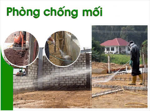 CTY chuyên về kiểm soát côn trùng cần tuyển NV kỹ thuật ĐI LÀM NGAY
