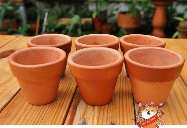 Tuyển 10 NAM NV đóng gói chậu gốm làm tại Bình Dương 