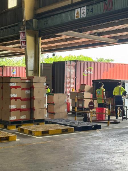 Tuyển Bốc Xếp Hàng lên Container làm Dĩ An Bình Dương
