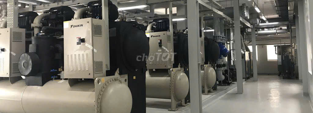 Cần 10 LĐPT & 5 Thợ Điện làm tại Thuận An Bình Dương