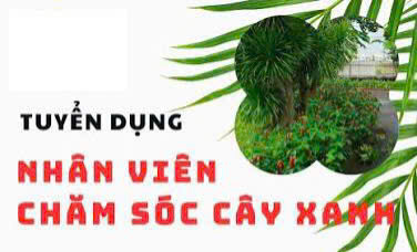 Tuyển NV chăm sóc cây cảnh làm ở Q12 & Bình Dương