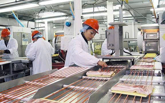 Tuyển 30 nam NV đứng máy sản xuất chế biến cá viên xúc xích 